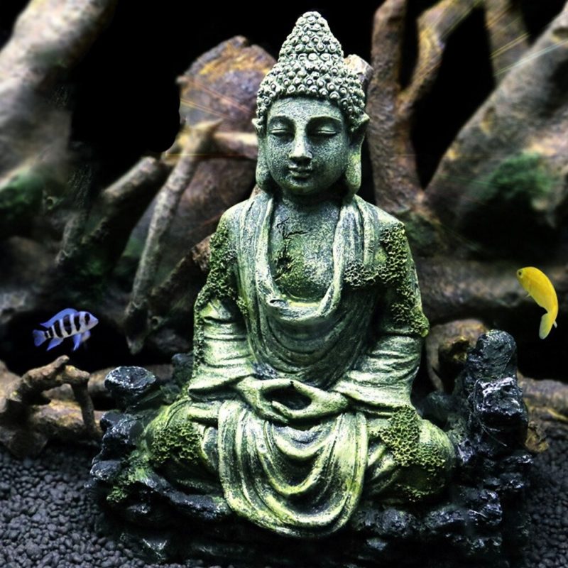 Statue Bouddha aquarium